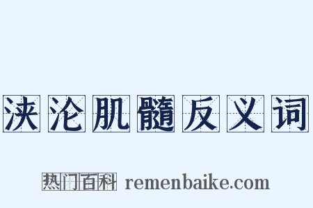 浃沦肌髓反义词是什么意思的图片